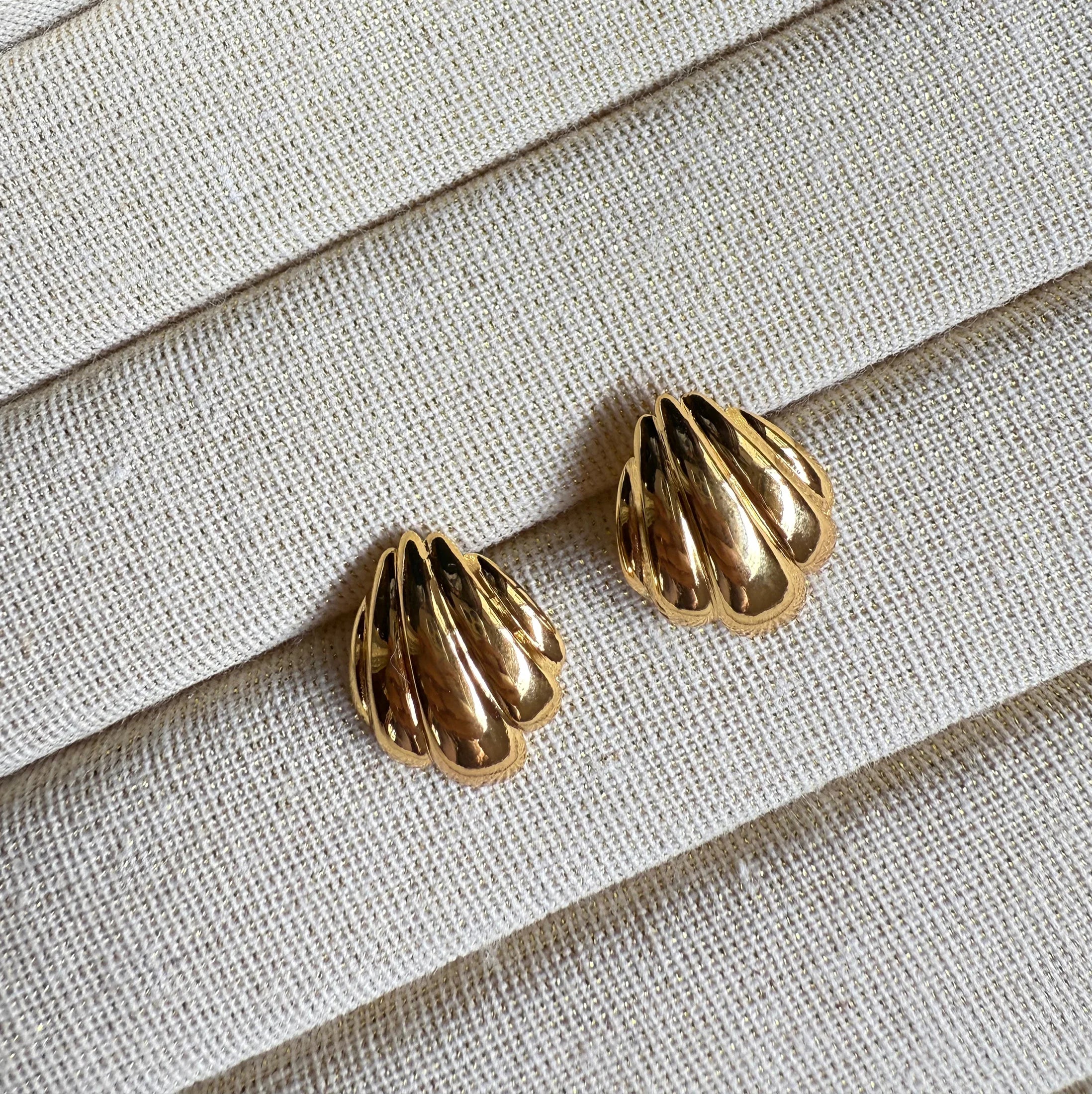 Seashell Earrings